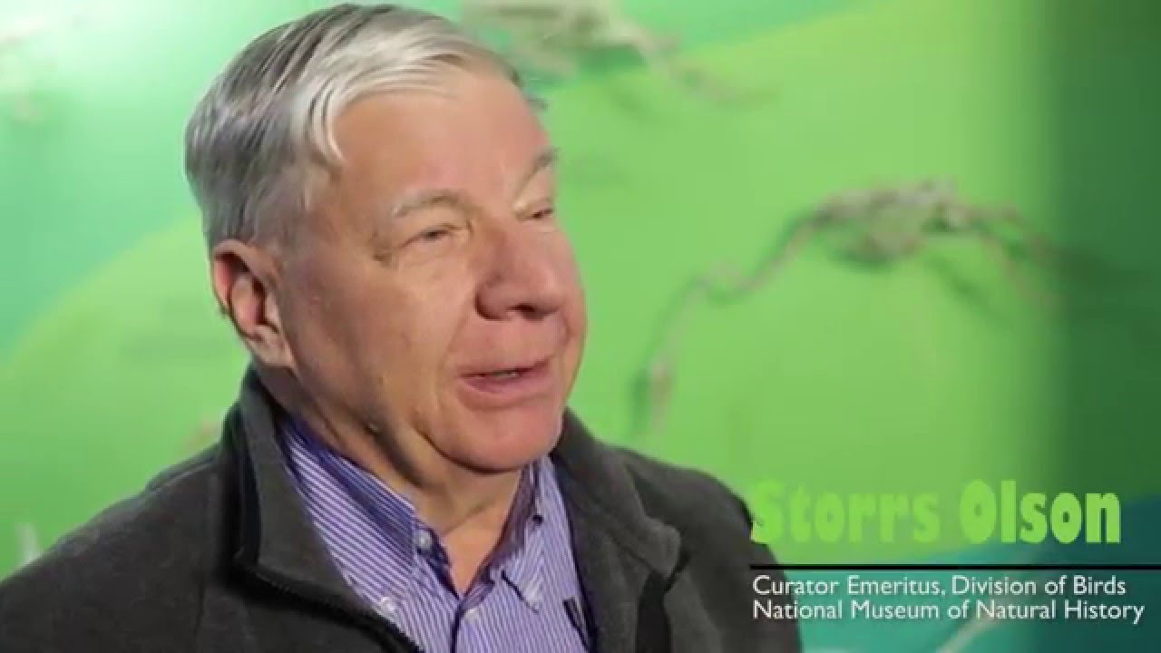 Skin & Bones Meet the Scientist Storrs Olson (new version) YouTube