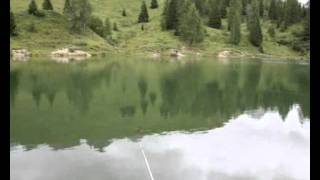 TrueFish 1.0 screenshot 3