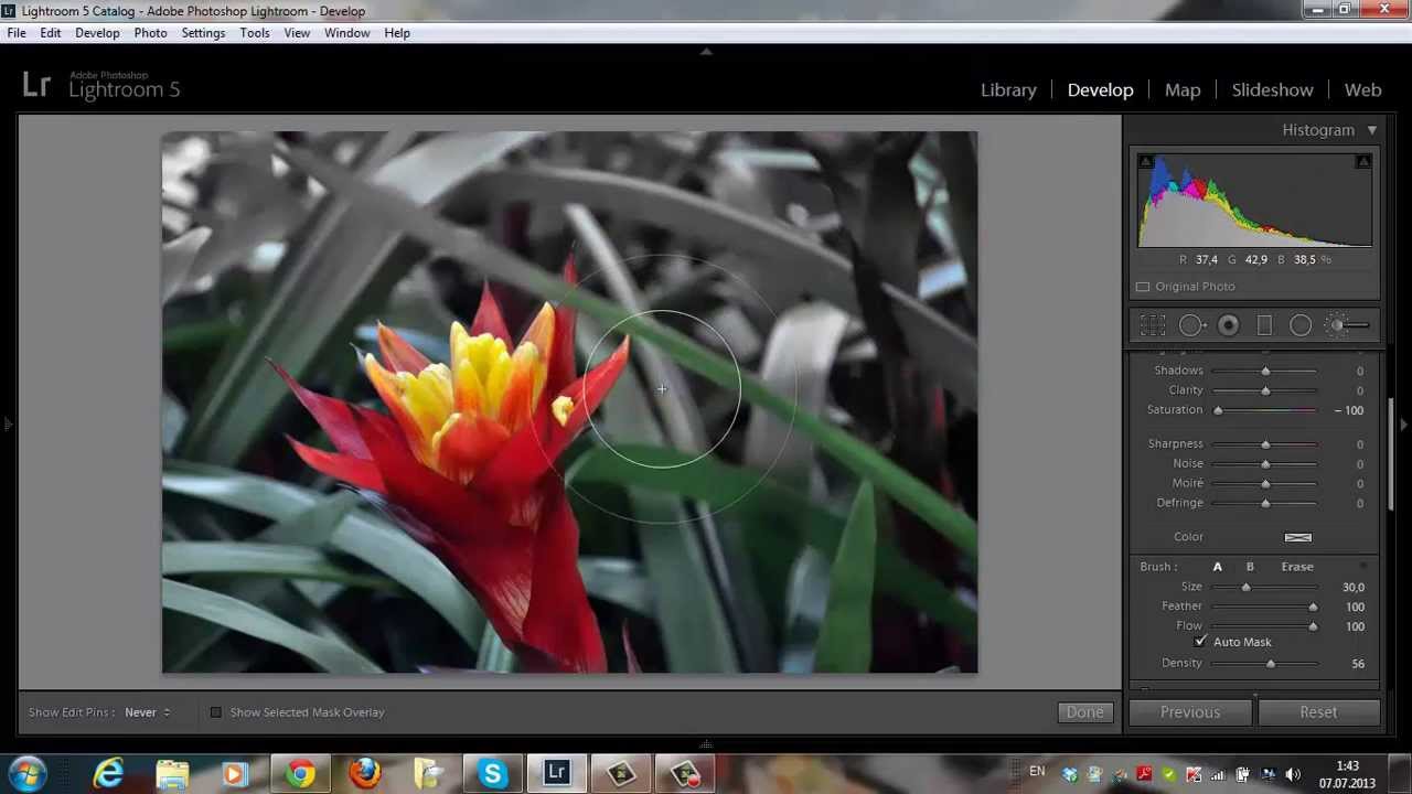выделение объекта цветом