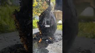 Whats A Loophole You Used Before Anyone Found Out shorts