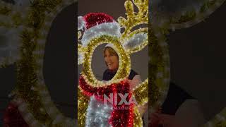 MAYORS CHRISTMAS TREE LIGHTING 2025