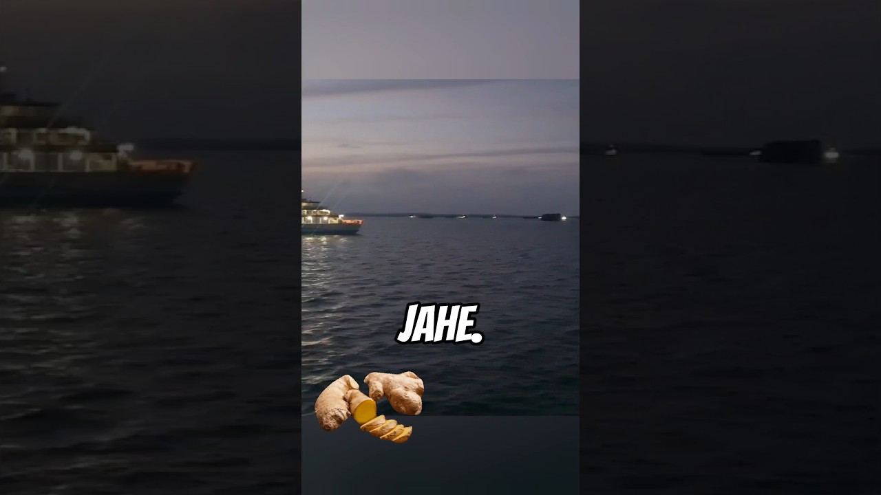 obat alami asam urat kolesterol 