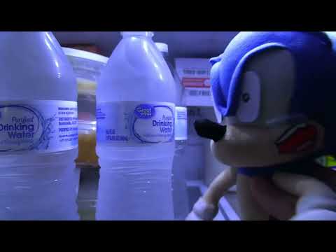 Sonic The SCAREDY CAT...