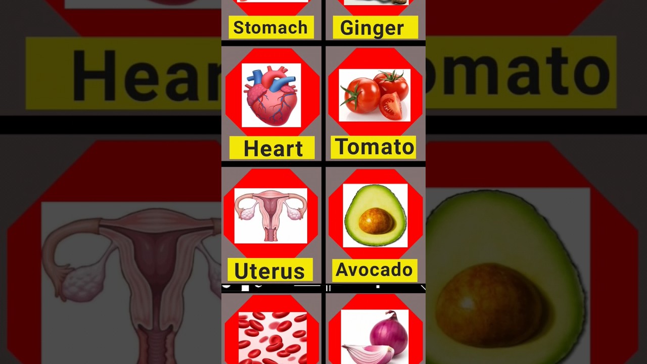 Best Eatable food for Body 