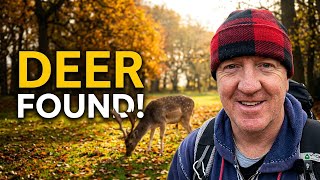 Dunham Massey in Autumn: A Hidden Gem Near Manchester
