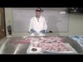 Late gestation sow reproductive tract dissection