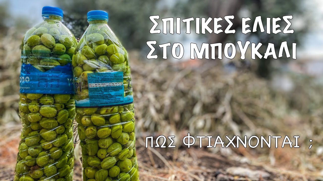 Πως φτιάχνουμε σπιτικές ελιές σε μπουκάλι ; #greekfood