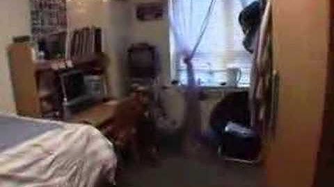 theU.com - Penn State: "The Shelter"