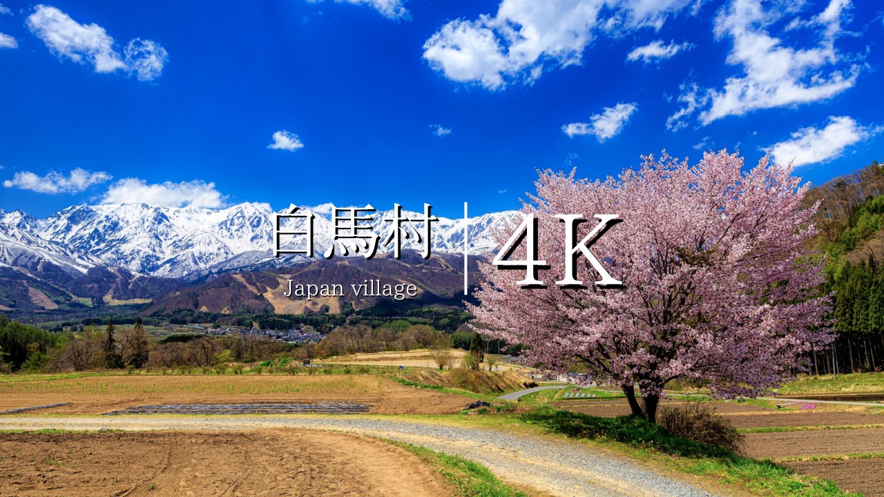 【新品】ZANPOW村男　158cm 23-24 the day hakuba ZANPOW村男モデル