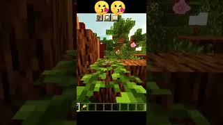 Minecraft best house Minecraft best shader ##minecraft #minecraftshorts