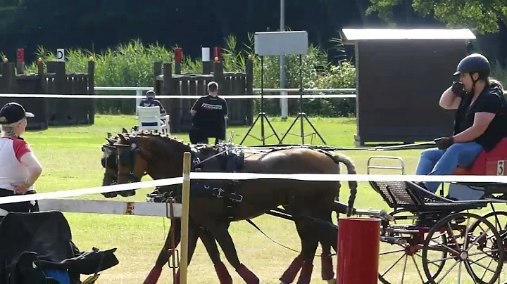 10 REINKING Sarah, Pony Pairs, Class M, Rastede, M...