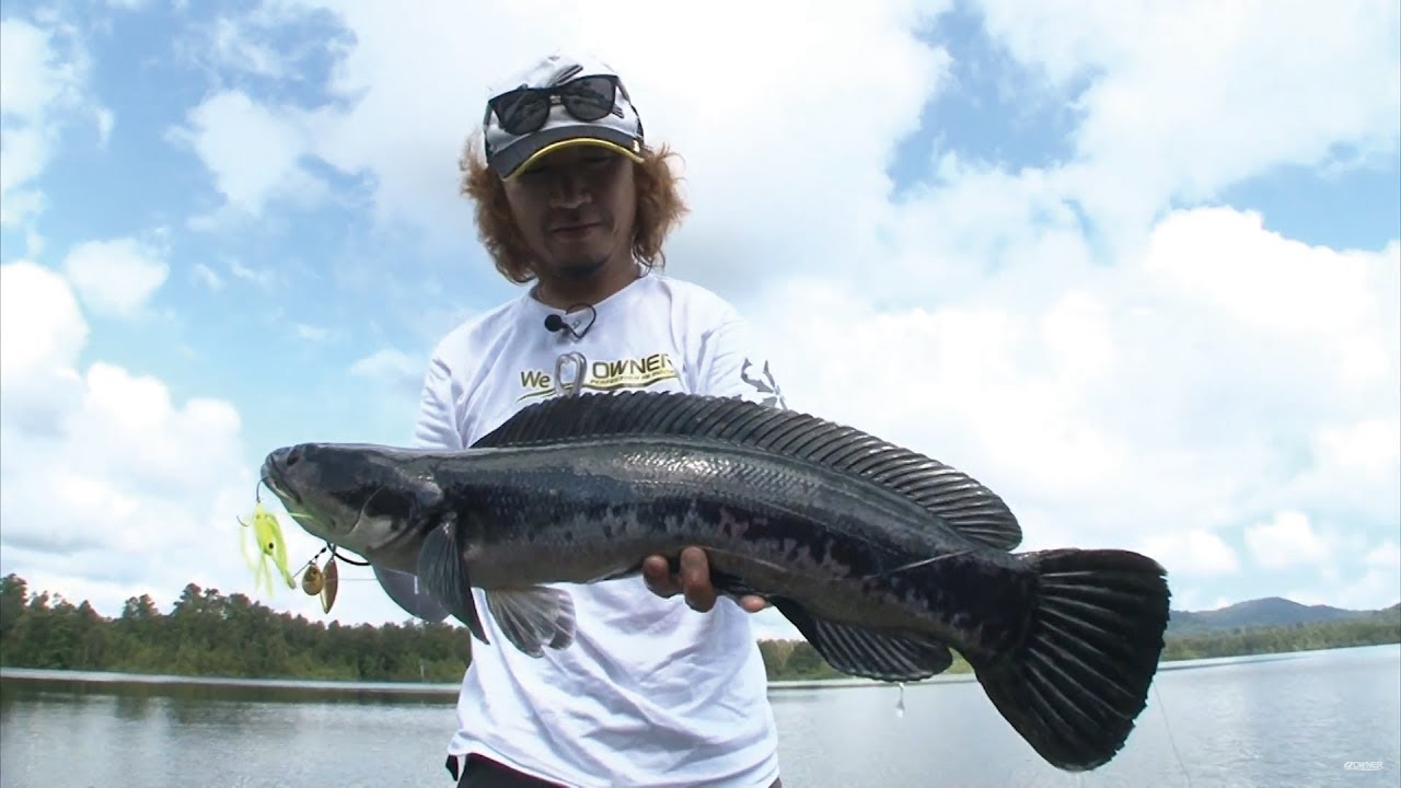 #116 【前編】魅惑のボルネオ島　秘境釣行を楽しむ