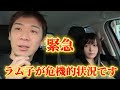 ヤバい事になりました...でも俺が守ります!ソレトモ団結の時!