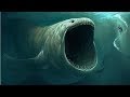 समुद्र की गहराई में पाया गया सबसे Vishaal जीव | The Biggest Animal In The Ocean Depth