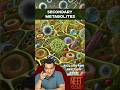 Secondary METABOLITES Functions | Biomolecules | class 11 Biology #neet #biology #science #ncert