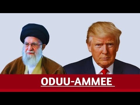 ODUU Ammee 12 January 2026 Ani Ana Media 