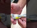 سبحان الله جمال طفرات الحسون
