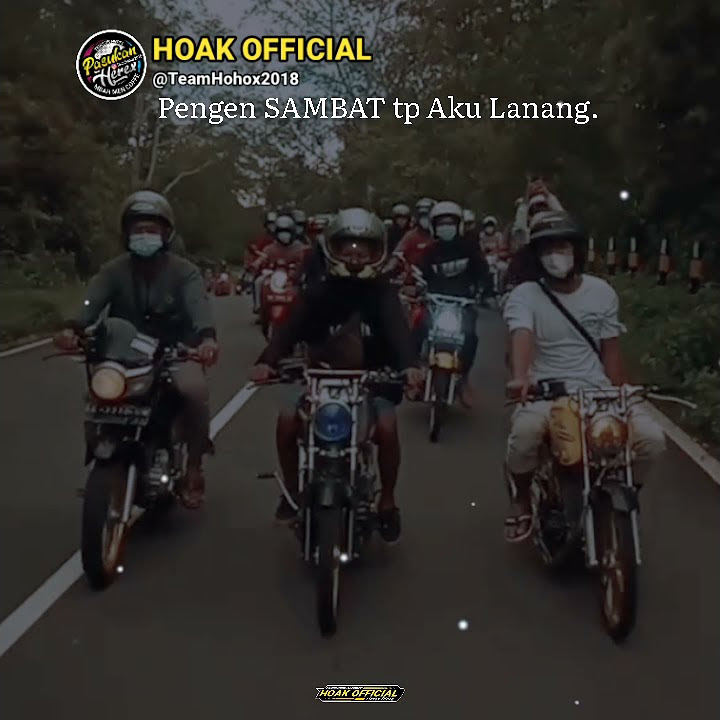 ABAH LALA - STORY WA TIGER HOLIDAY - Lalu Mau Apa Lagi