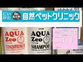 犬の薬用シャンプーは時代遅れ！