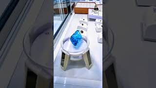 Gem Exhibition sri lanka 🇱🇰 #1million #srilanka #trending #viral #shorts #colombo #shortvideo#trend