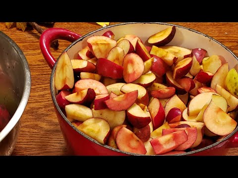 No sugar homemade applesauce canning recipe
