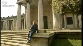 Scientific Eye Videos - YouTube