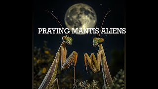 Chapter 12 They Never Left Book  Praying mantis Alien abduction