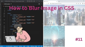 How to blur image in css | blur background image | opacity in css | #opacity #cssBlur #csstutorial