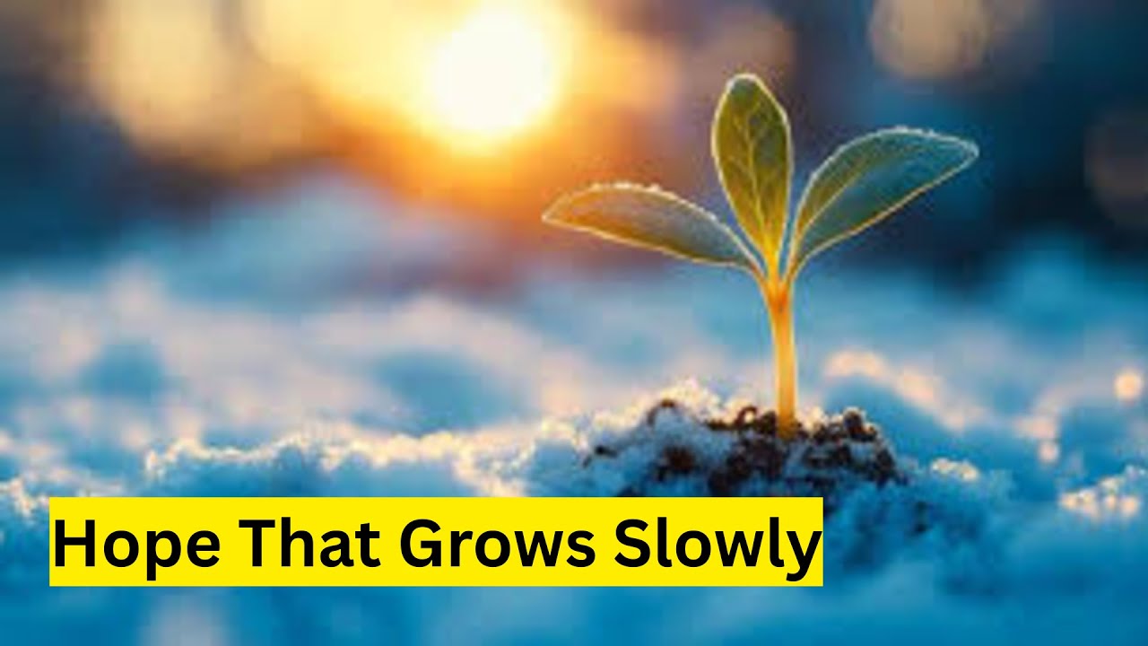 Jesus Reflection - Hope