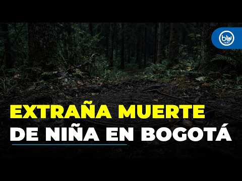Horrifying crime in Bogotá: a son took his mother's life | Girl's body found