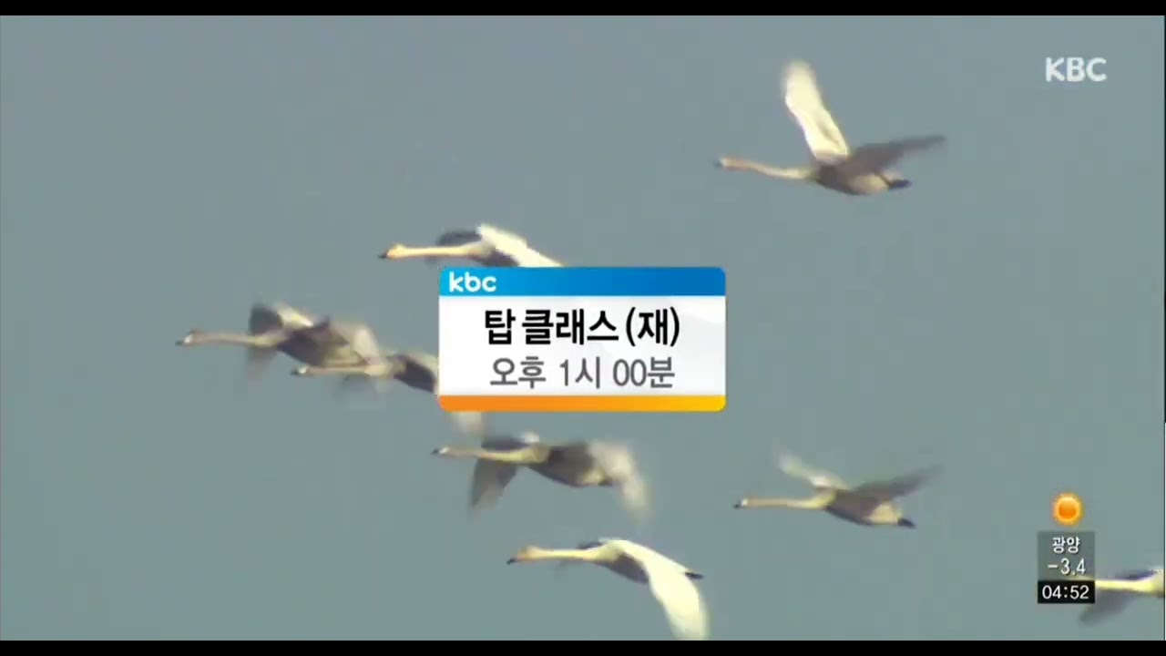 20260213 KBC 방송순서영상(음악으로 결정)