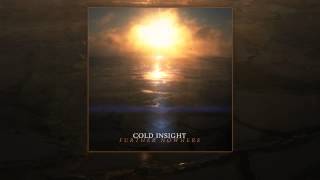 Cold Insight - The Light We Are (premix with vocals)
