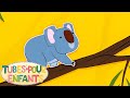 Koalala  meilleures chansons pour enfants et comptines pour bb  tubes pour enfants