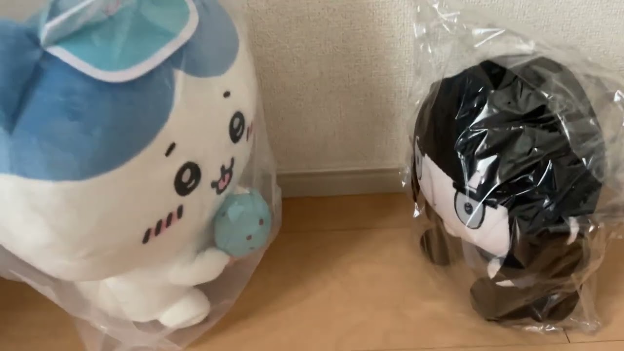 オルゴナイト 垂れ下がっ チワワ＆シーサーお取り置き♡ありがとう 