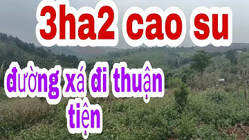 đất rẻ đắc nông .3ha2 cao su. quảng tân.tuy đức đăk nông.giá 3ty5