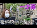 藤の花『一才藤』の育て方・管理方法・花が咲き終わったらすること【おうちでガーデニング】開花園チャンネル