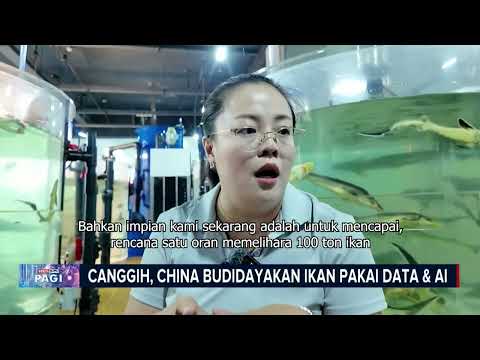 Canggih, Budidaya Ikan di China Pakai Data dan AI #BeritasatuPagi