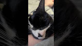 Maeve Claims Mommys Arm Nap Time Is Non-Negotiable