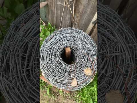 Колючая проволока