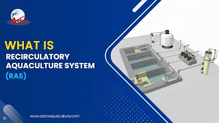 What is RAS (Recirculating Aquaculture System) Part 1 screenshot 3