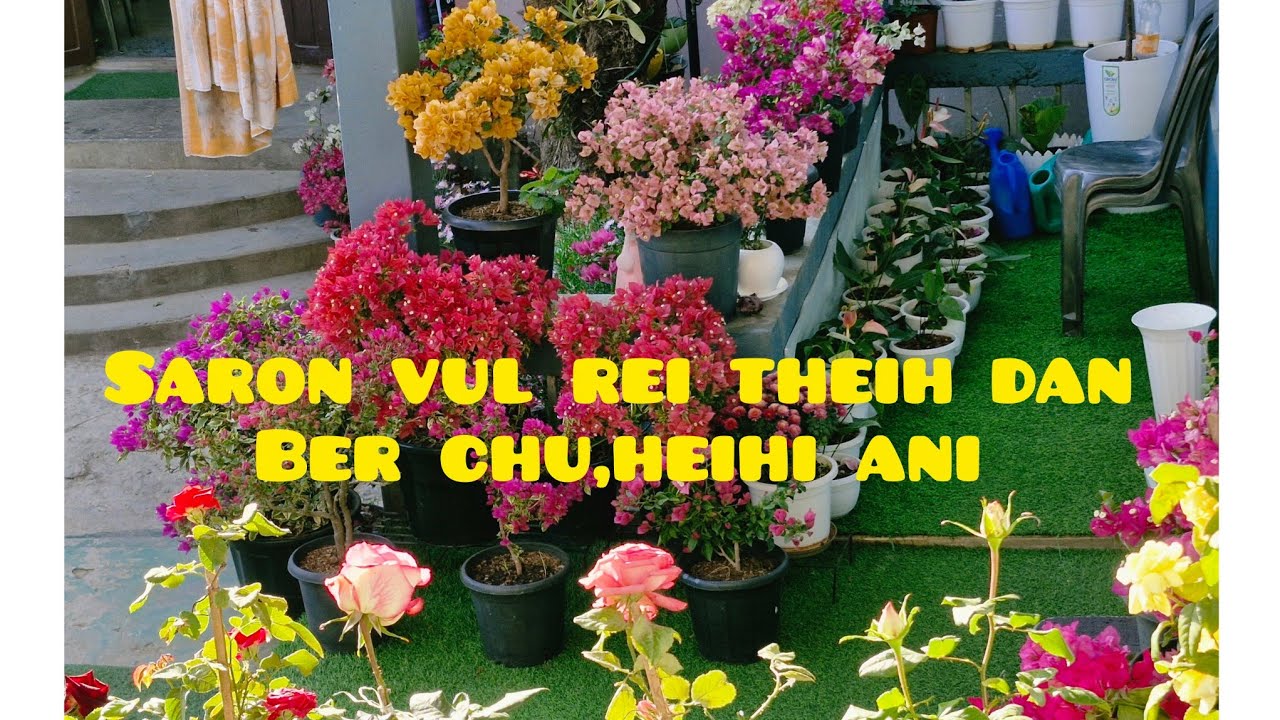 SARON ENKAWL DAN LEH PAR REI TIR DAN..💞&share.VISITOR DUHAWM KA NEI