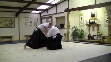 Ryote Dori Tenchi Nage Variations