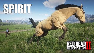 ENCONTREI O SPIRIT - O Cavalo Indomável - Red Dead Redemption 2