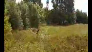 Złota City - Chłosta