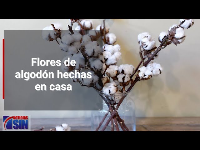 COMO HACER FLORES DE ALGODON PARA DECORACIÓN (DIY FACIL Y RAPIDO )