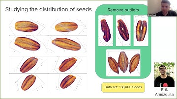 Elizabeth Munch (6/2/20): Topological data analysis for quantifying plant morphology