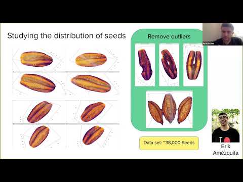 Elizabeth Munch (6/2/20):