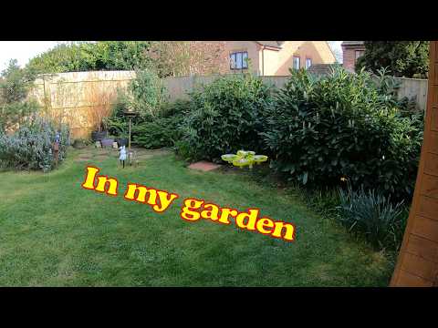 Giving the 4DRC Quad Hovercraft a little flight in my garden 20260320