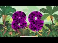 1 to 100 learning & educational videos preschool kindergarten nursery kids songs numbers USA fun art
