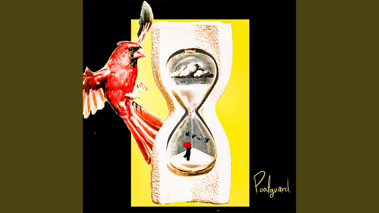 Watch Cardinal on YouTube Watch Cardinal on YouTube